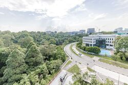 Normanton Park (D5), Apartment #596544191